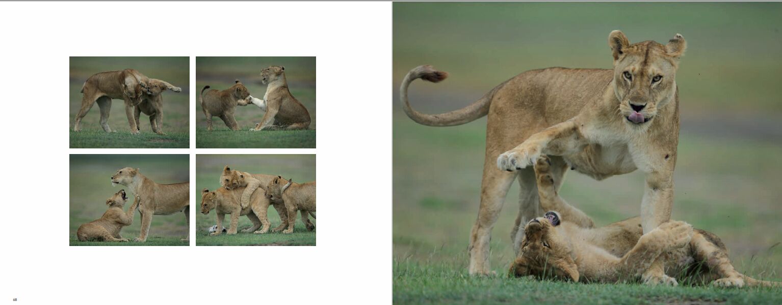 Africa Libro - Imagen 6