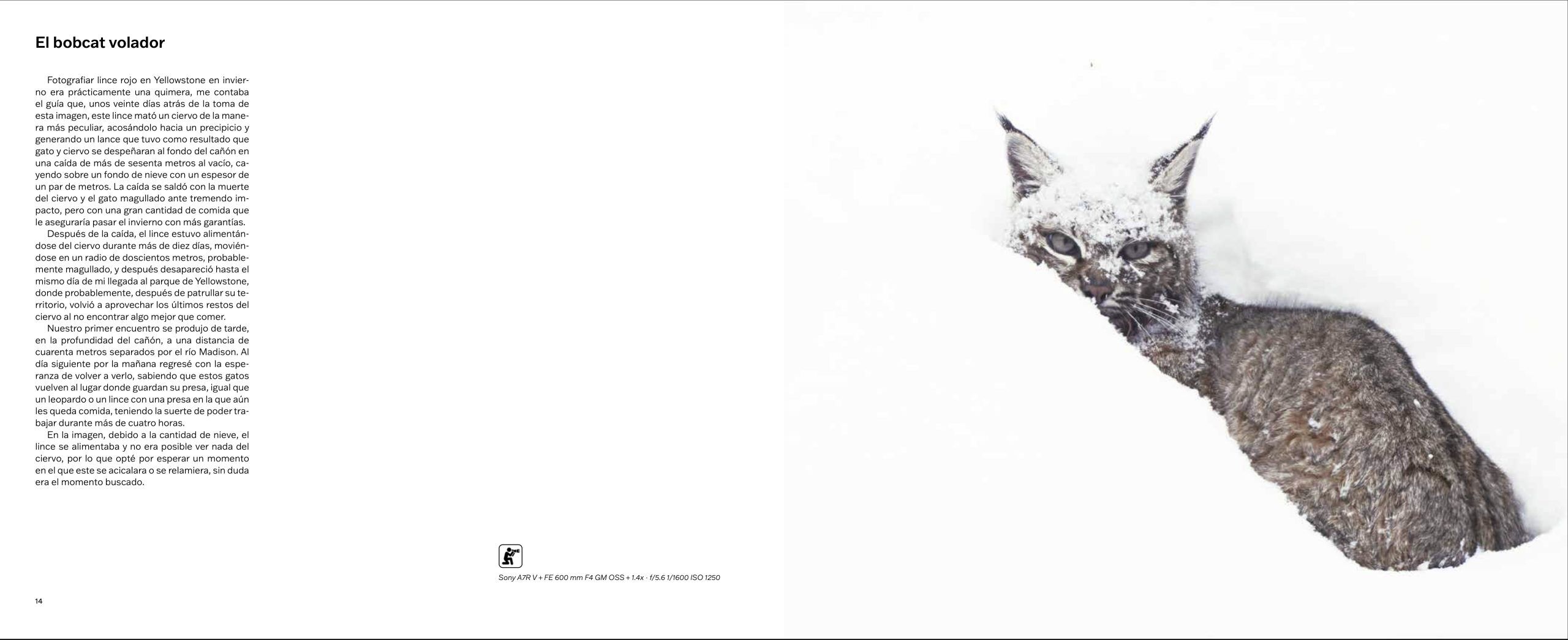 Libro , MOMENTOS PREORDEN - Imagen 2