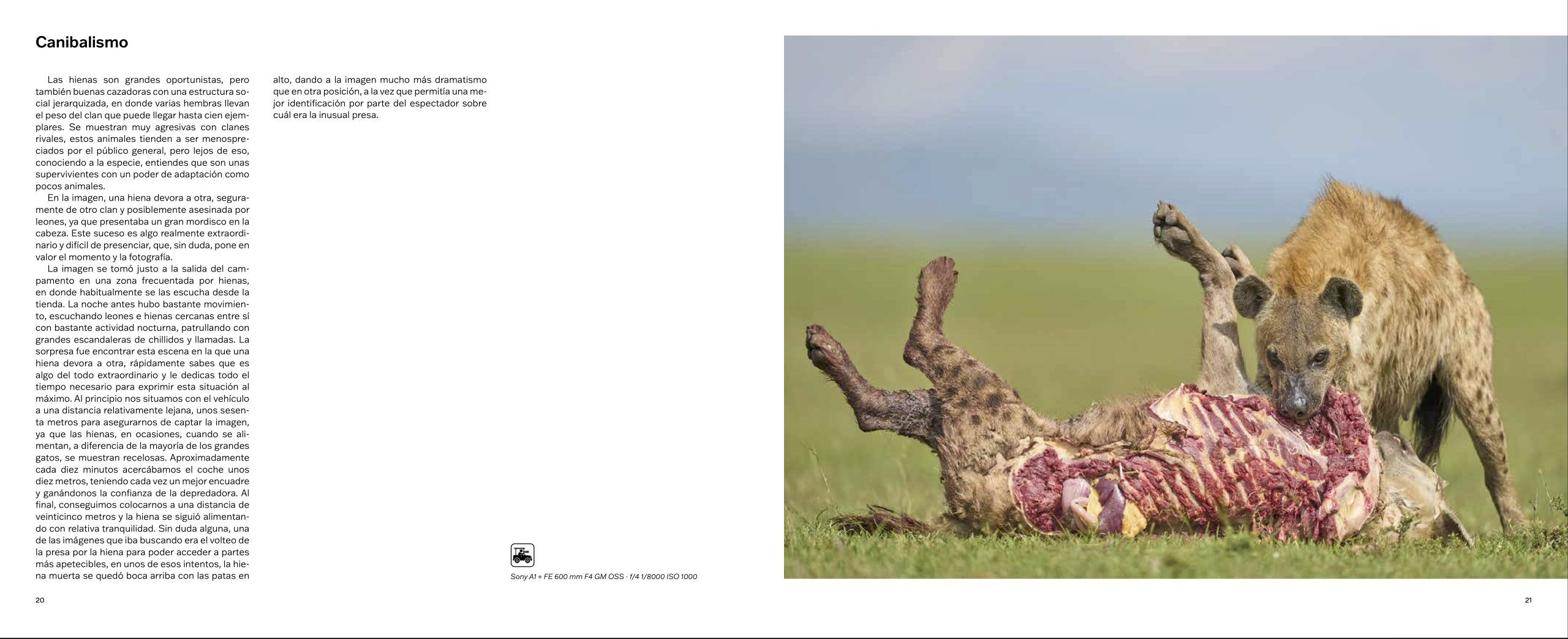 Libro , MOMENTOS PREORDEN - Imagen 4