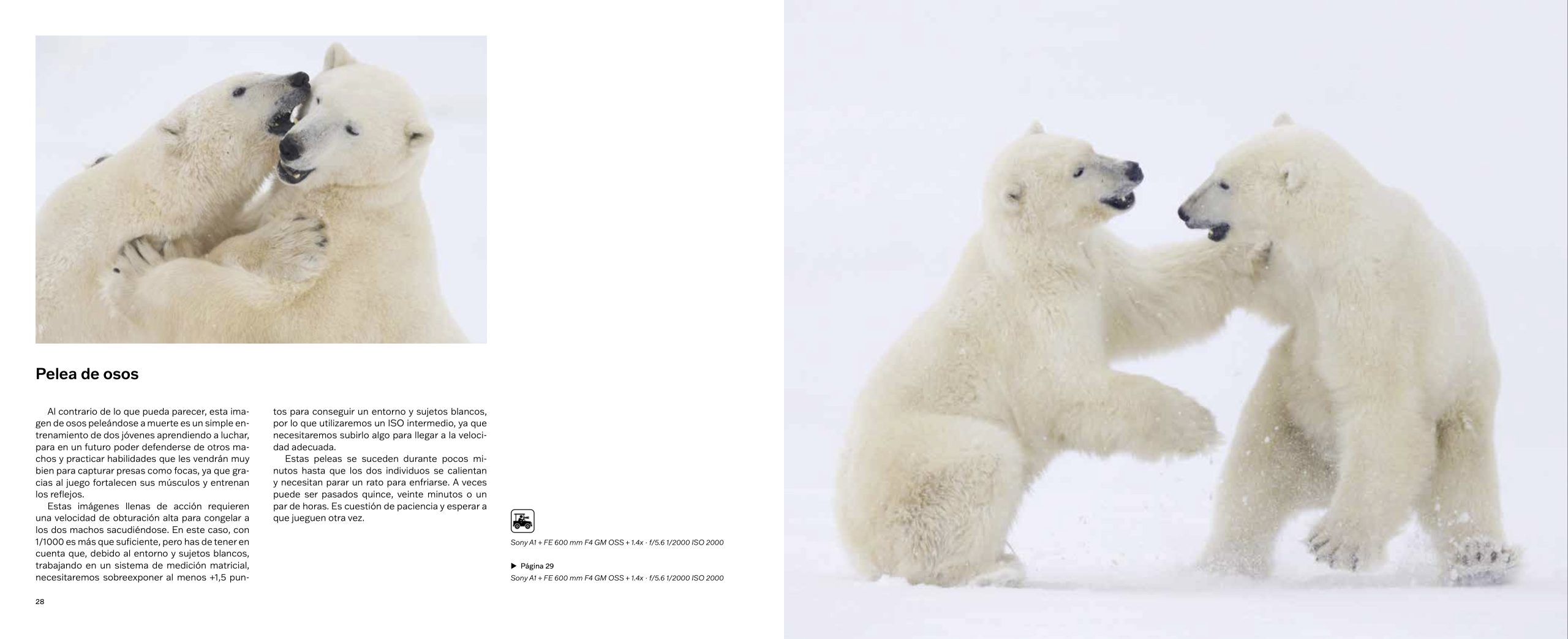 Libro , MOMENTOS PREORDEN - Imagen 3