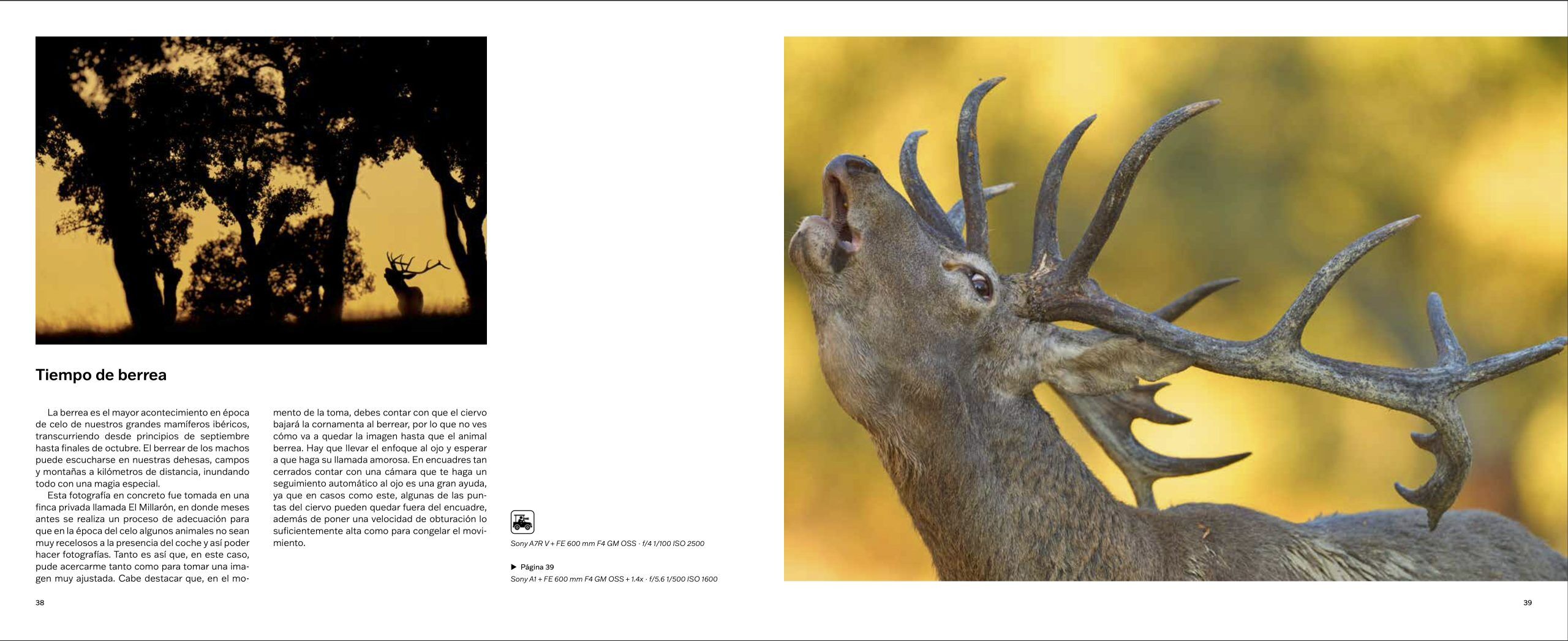 Libro , MOMENTOS PREORDEN - Imagen 5